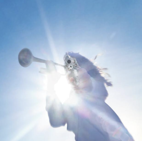 Thank You Geese For Killing Me